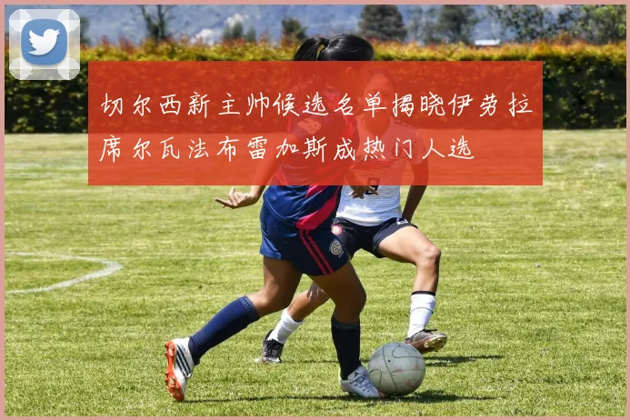 切尔西新主帅候选名单揭晓伊劳拉席尔瓦法布雷加斯成热门人选