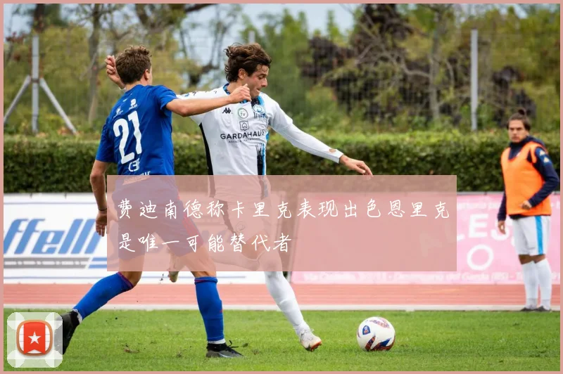 费迪南德称卡里克表现出色恩里克是唯一可能替代者
